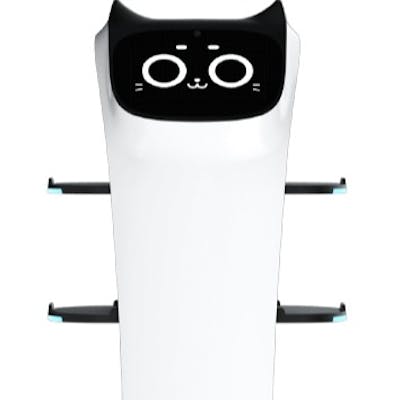 配膳ロボット【BellaBot】4月中旬「パームツリー」に仲間入り