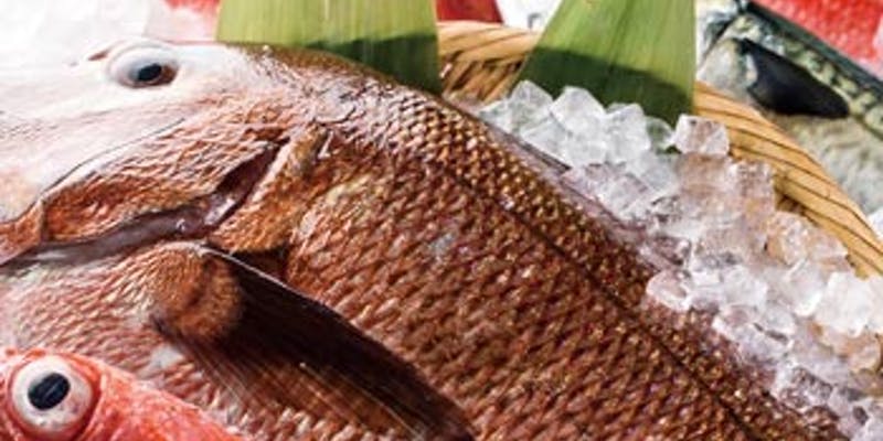 【魚バルプラン】鮮魚のアラのスパイス揚げ等 全9品＋120分飲み放題