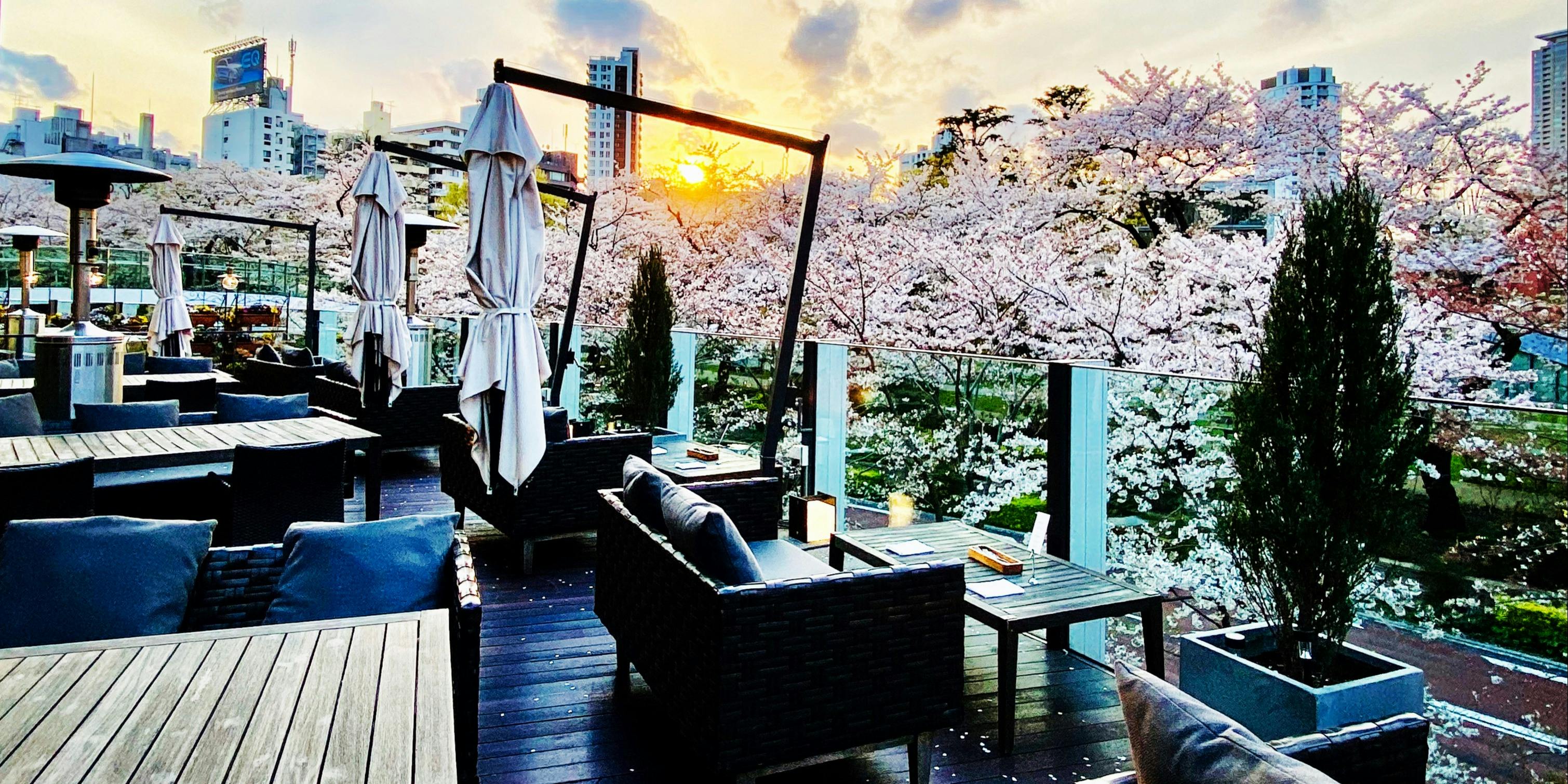 Artisan de la TRUFFE PARIS 東京ミッドタウン店 【桜ランチ】 ～Menu