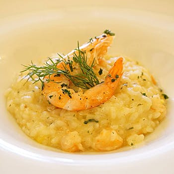 �A���e�B�J ���[�}