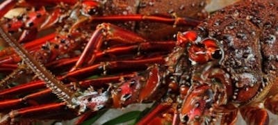 21年 最新 あべのハルカス周辺の美味しいディナー8店 夜ご飯におすすめな人気店 一休 Comレストラン 21年 最新 あべのハルカス周辺の美味しいディナー8店 夜ご飯におすすめな人気店 一休 Comレストラン