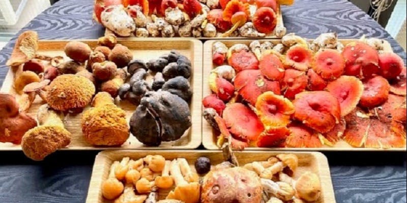 エリゼ光 - 画像35