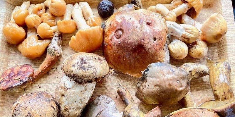 エリゼ光 - 画像36