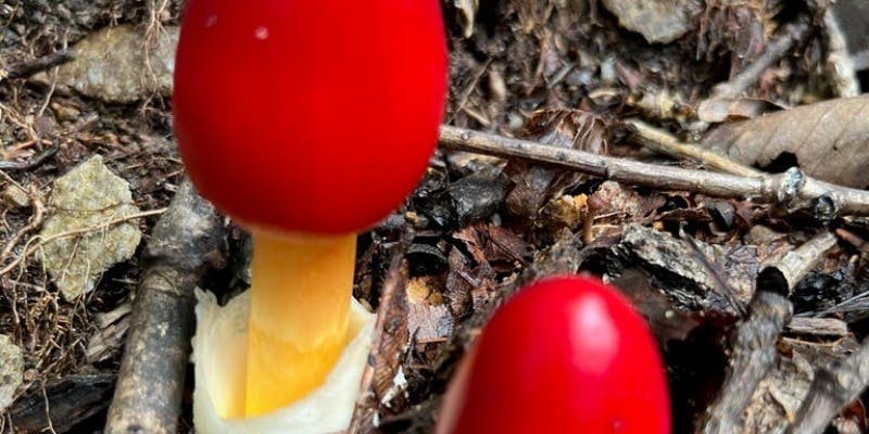 エリゼ光 - 画像37