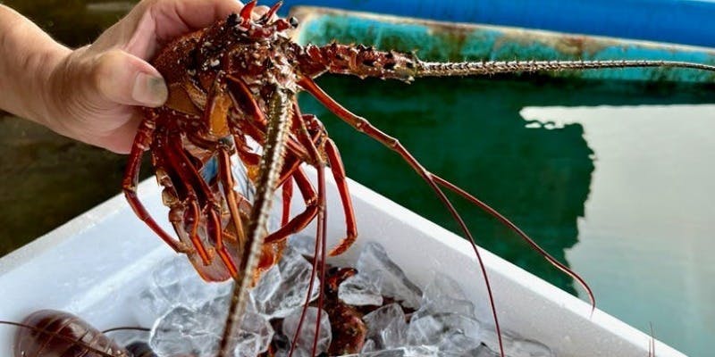 エリゼ光 - 画像28