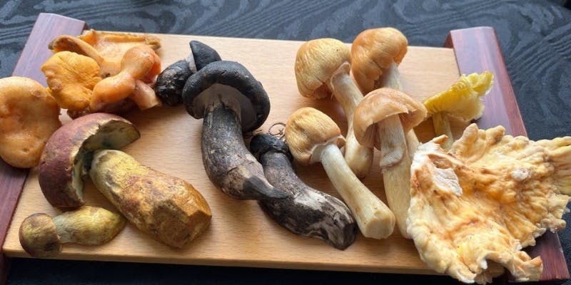 エリゼ光 - 画像50