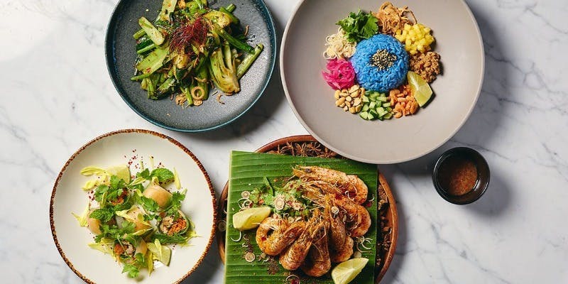 【Dinner】リニューアル！コネクト東京グルメシェアーコース！Share Course 5300