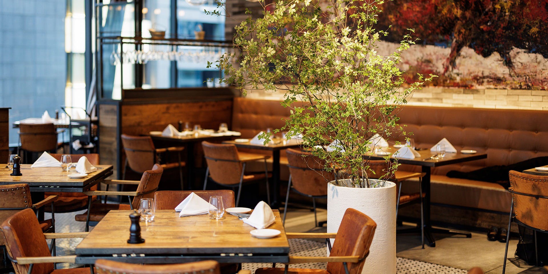 Ironbark Grill & Bar (アイアンバーク グリル&バー）（旧 Salt grill & tapas bar） (アイアン