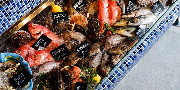上野のイタリアンが楽しめるおすすめレストラントップ12 一休 Comレストラン 上野のイタリアンが楽しめるおすすめレストラントップ12 一休 Comレストラン