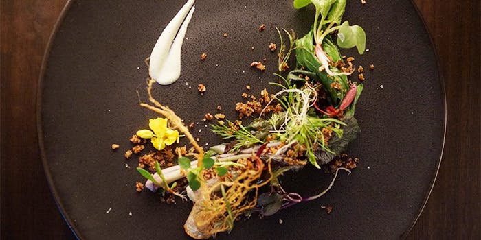 アコルドゥ - 画像9