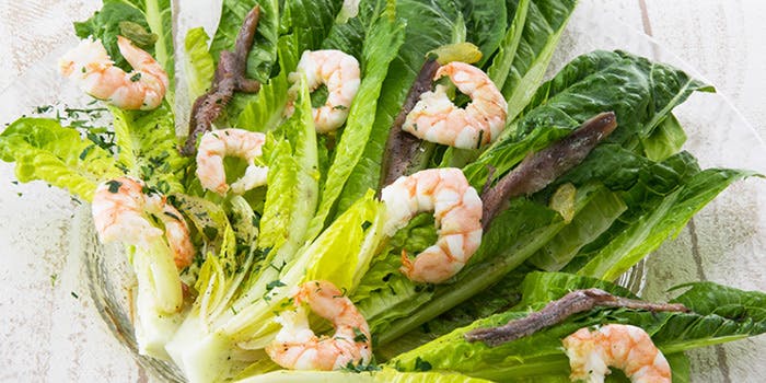 Trattoria&Pizzeria LOGIC 池袋東口（トラットリア アンド ピッツァ ロジック）