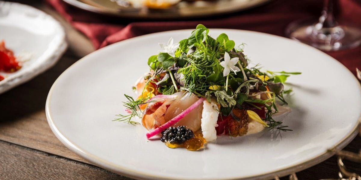 毛利 Salvatore Cuomo（モウリ サルヴァトーレ クオモ）