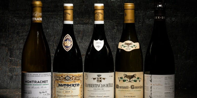 AZUR et MASA UEKI - 画像12