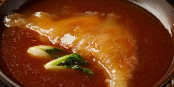 【スペシャルランチ滋養コース】フカヒレ姿煮、すっぽんの薬膳風スープなど 全7品 - GINZA沁馥園
