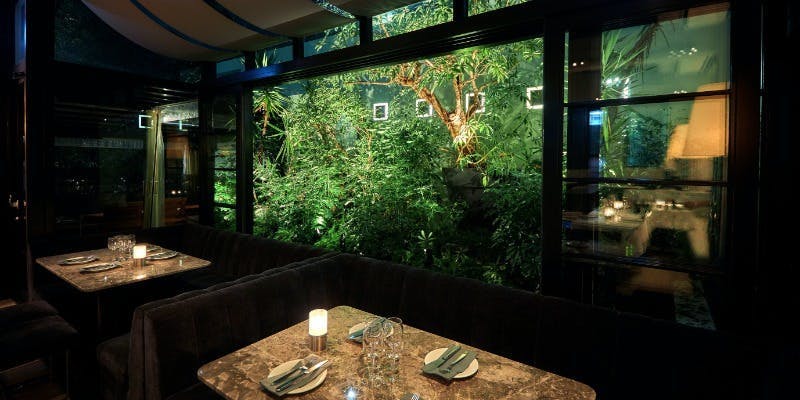 MERCER BRUNCH EBISU - 画像8