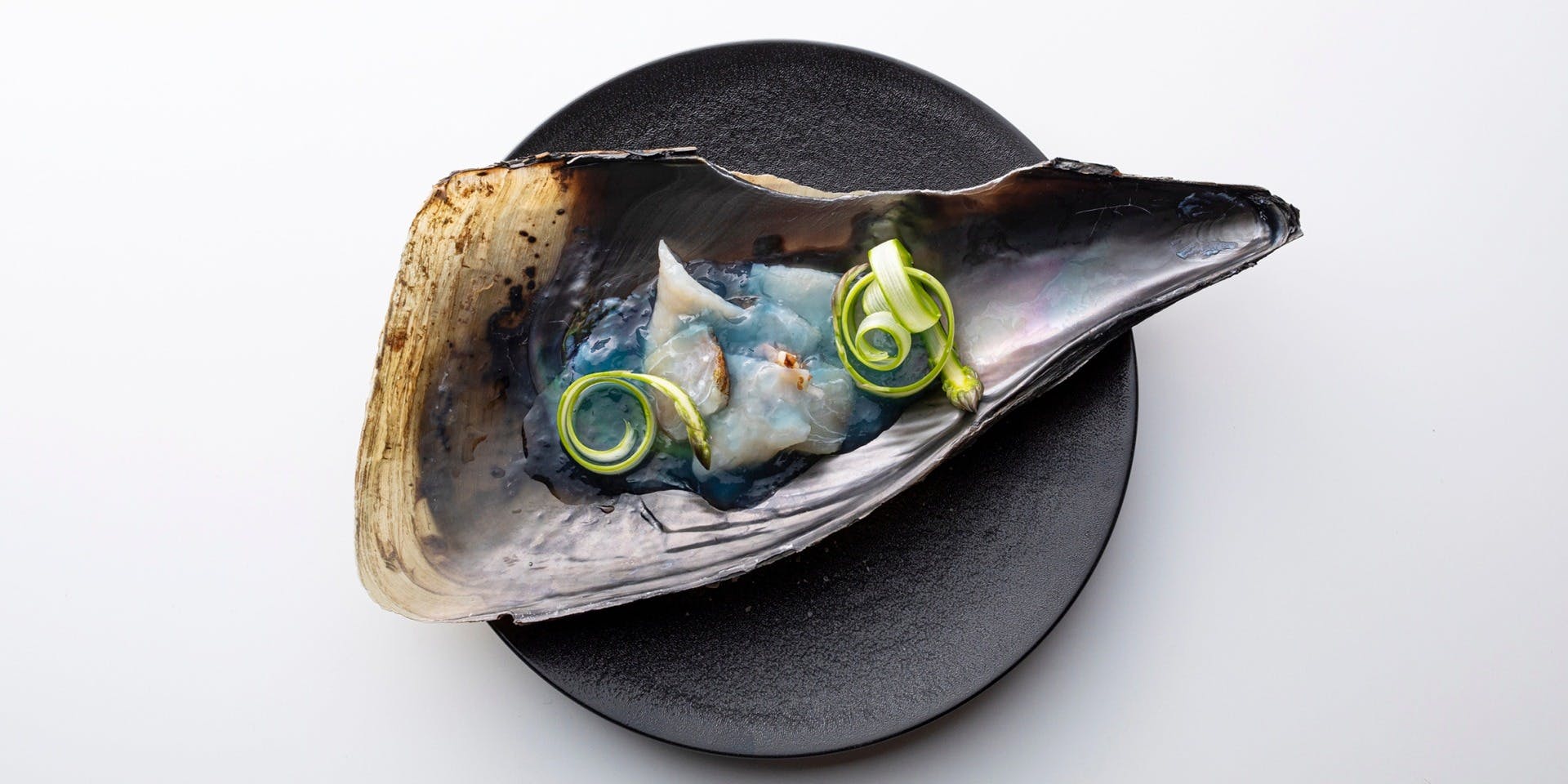 ニシデリア（Nishideria）