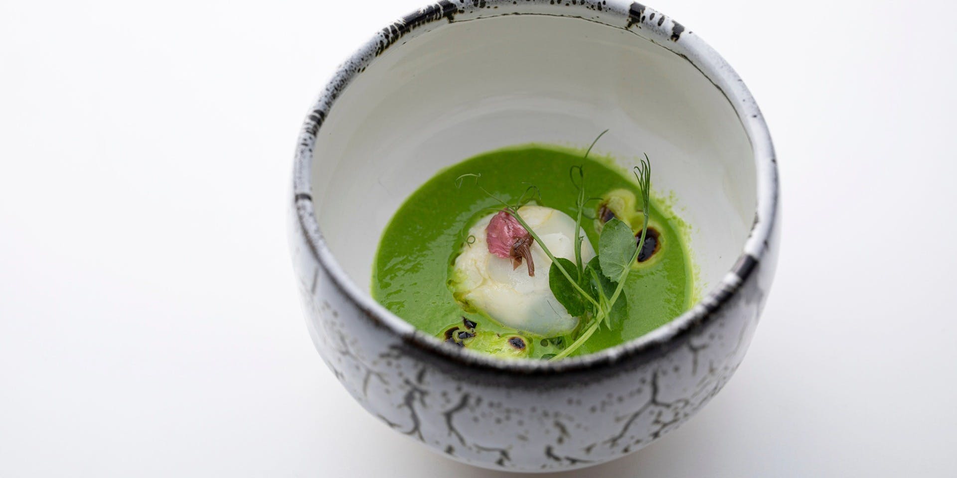 ニシデリア（Nishideria）