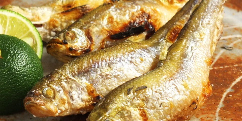 蕎麦 福一 - 画像9