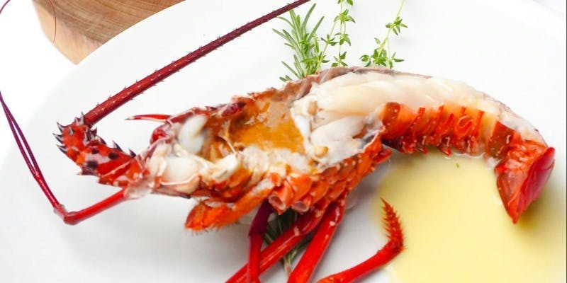 【ディナー】期間限定メニュー 豪華”伊勢海老1尾”自家栽培ハーブと岩塩のル・クルーゼ蒸し