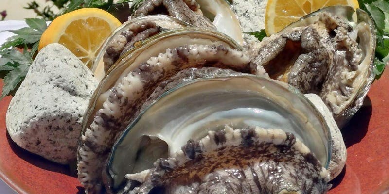 【ディナー】期間限定メニュー 豪華【昆布締めアワビの塩釜焼き】