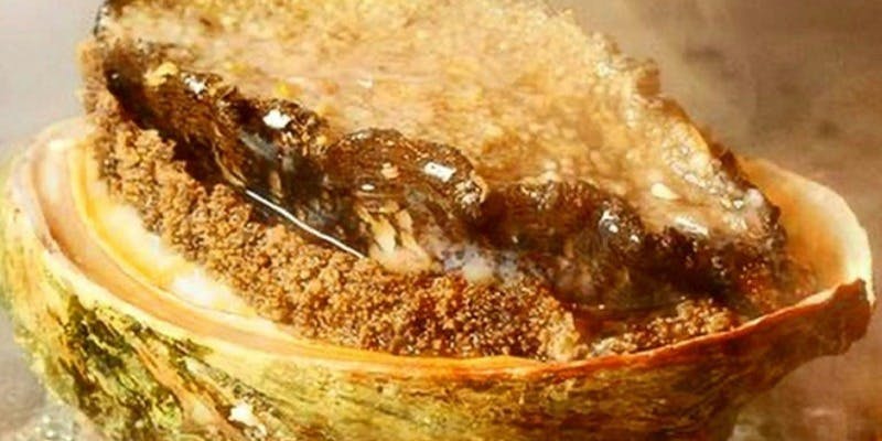 夜 鮨会席【真】アワビやいくら、大トロなど全19品＋乾杯シャンパン付き（個室可）