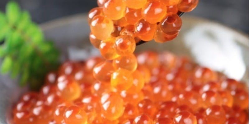 昼鮨会席【特上】雲丹の小丼や中トロ、季節の造里など全17品（個室可）