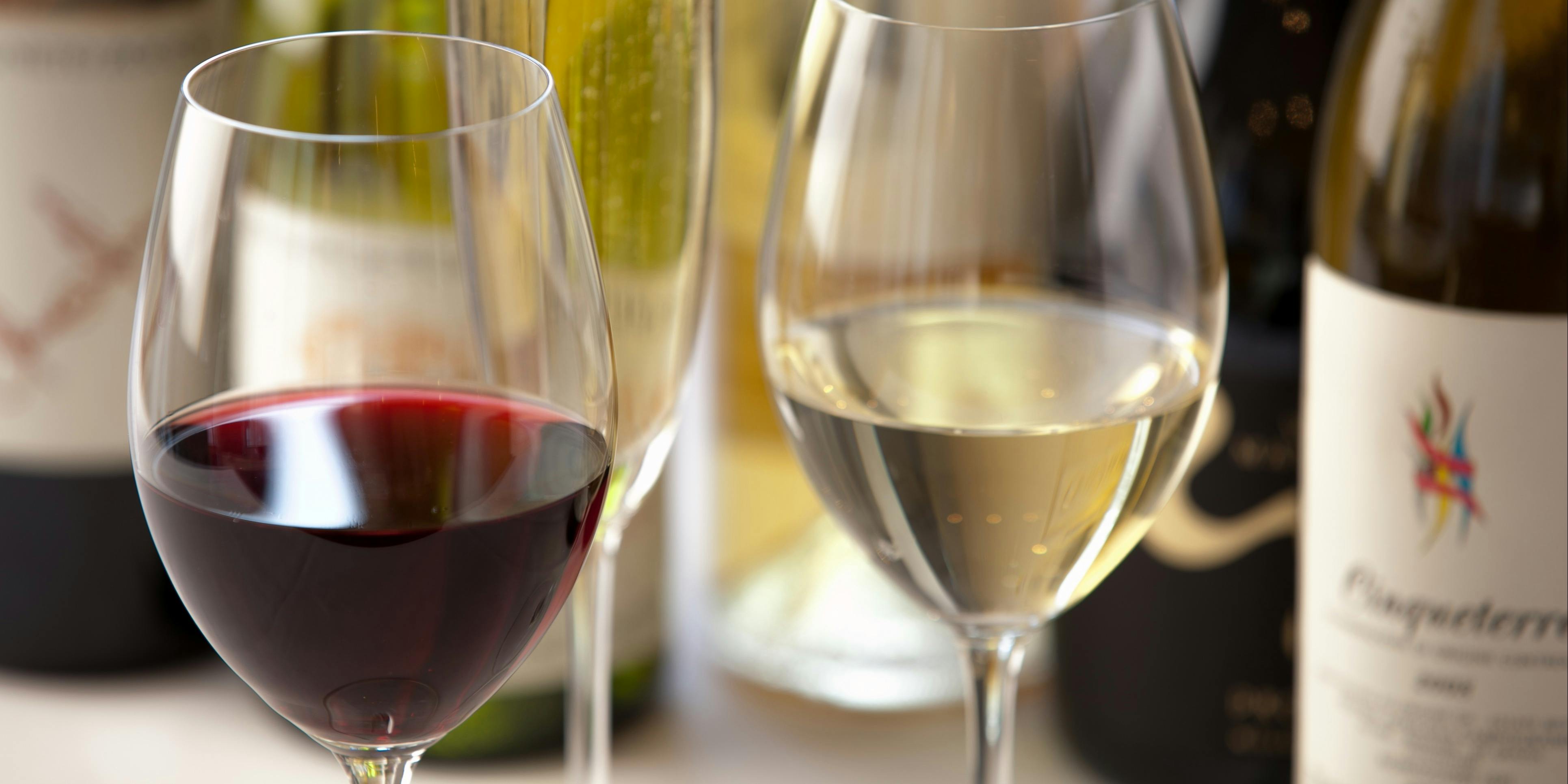 カンティーナ・アルバロンガ - 画像22