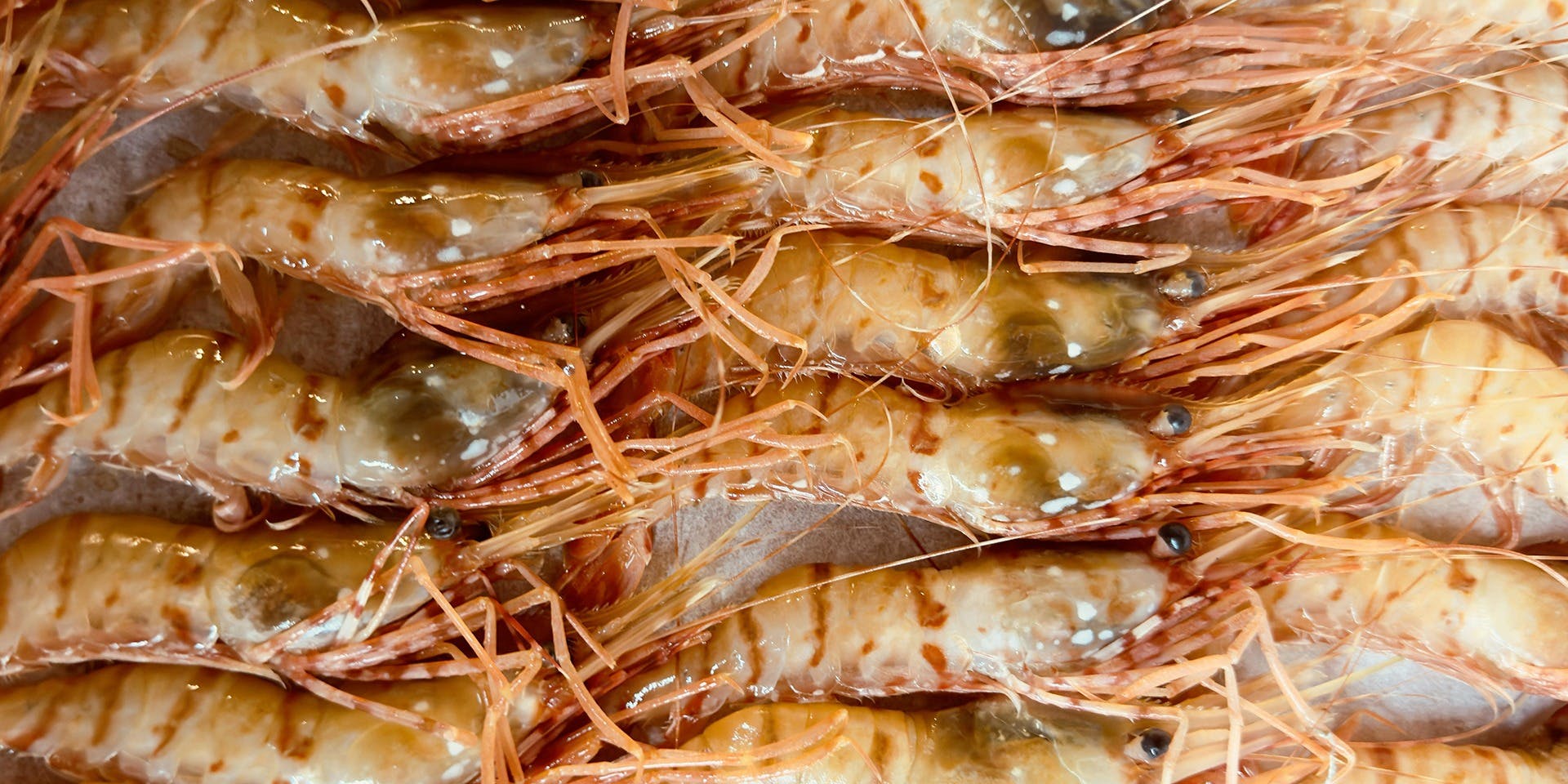 OSTERIA Tutto Sole - 画像8