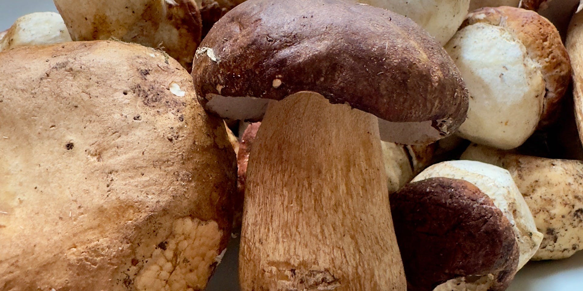 OSTERIA Tutto Sole - 画像5