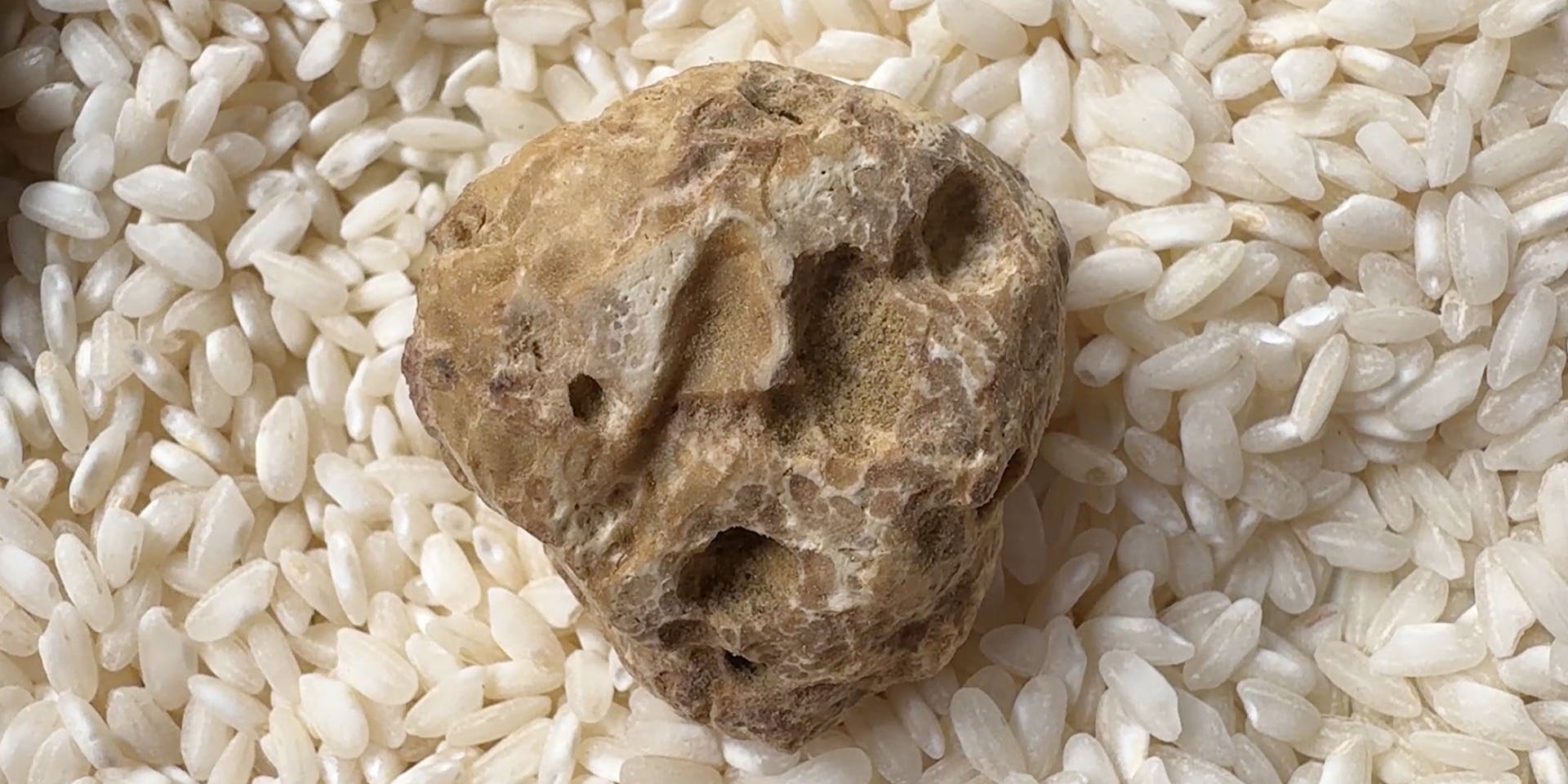 OSTERIA Tutto Sole - 画像4