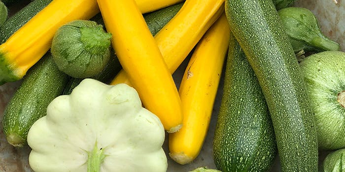 オステリア ジョイア - 画像9