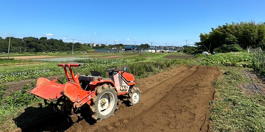 オステリア ジョイア - 画像7