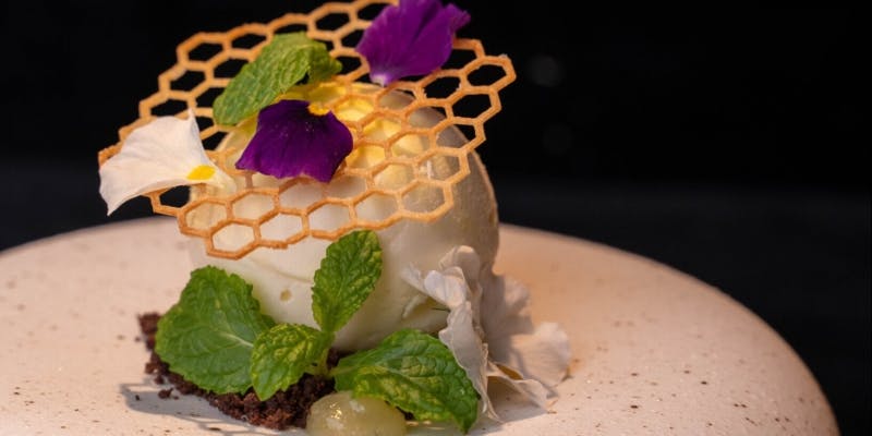 【 NEW プロジェクションマッピング 】小人シェフコース（18：30予約のみ）