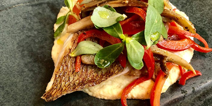 メゾン ド ツユキ（Maison de Tsuyuki）