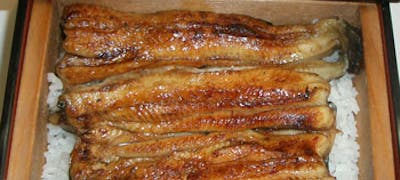 南越谷駅周辺の美味しいランチ30店 おしゃれ人気店 絶品ランチグルメ 21年 一休 Comレストラン 南越谷駅周辺の美味しいランチ30店 おしゃれ人気店 絶品ランチグルメ 21年 一休 Comレストラン