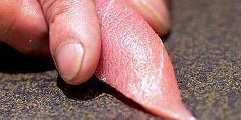 六本木 すし巽 - 画像12