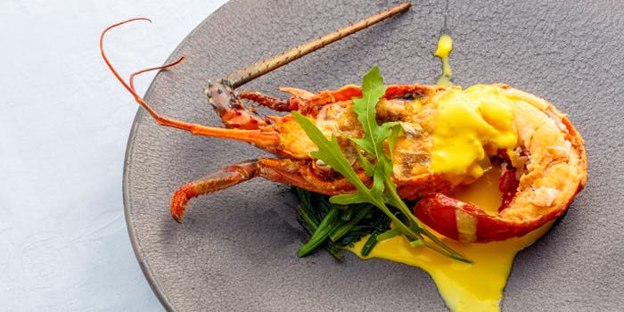 伏見の接待 会食でおすすめレストラントップ 一休 Comレストラン