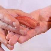 寿司割烹 旬はなれ重絆