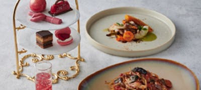 表参道ヒルズ周辺ランチ21 おすすめ 絶品お昼ごはん22選 一休 Comレストラン 表参道ヒルズ周辺ランチ21 おすすめ 絶品お昼ごはん22選 一休 Comレストラン