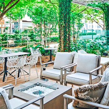 Cafe Dining Zelkova ストリングス表参道 記念日ディナー お肉 お魚のwメイン デザートなど全5品 乾杯スパークリング テラス確約 ディナー プラン メニュー 一休 Comレストラン