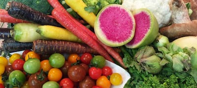 平塚ランチ22 おすすめ 絶品お昼ごはん5選 一休 Comレストラン 平塚ランチ22 おすすめ 絶品お昼ごはん5選 一休 Comレストラン