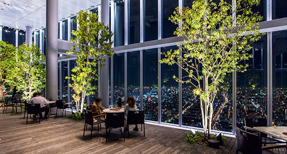 阿倍野のディナーで飲み放題におすすめレストラン 一休 Comレストラン