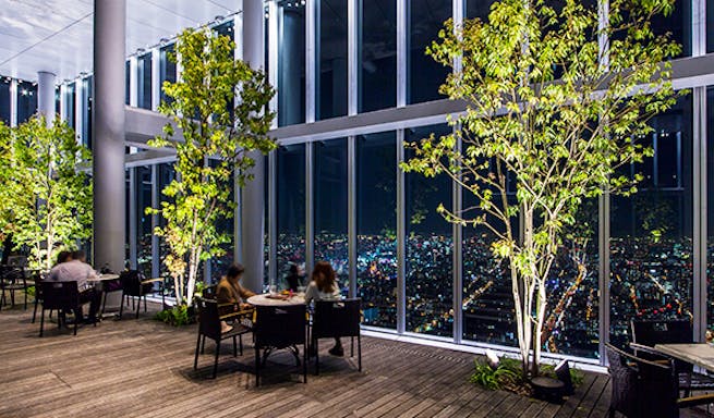 スカイガーデン300 Sky Garden300 天王寺 カフェダイニングバー 一休 Comレストラン スカイガーデン300 Sky Garden300 天王寺 カフェダイニングバー 一休 Comレストラン