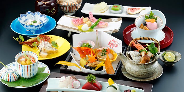 山茶花（さざんか）