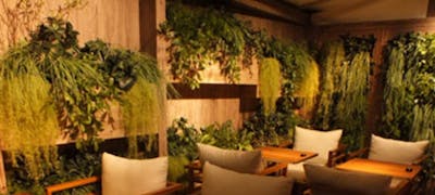 22年 最新 中目黒駅周辺の美味しいディナー29店 夜ご飯におすすめな人気店 一休 Comレストラン 22年 最新 中目黒駅周辺の美味しいディナー29店 夜ご飯におすすめな人気店 一休 Comレストラン