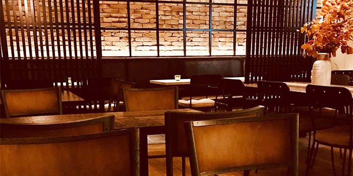 ZEALANDER by TERRA - 画像4