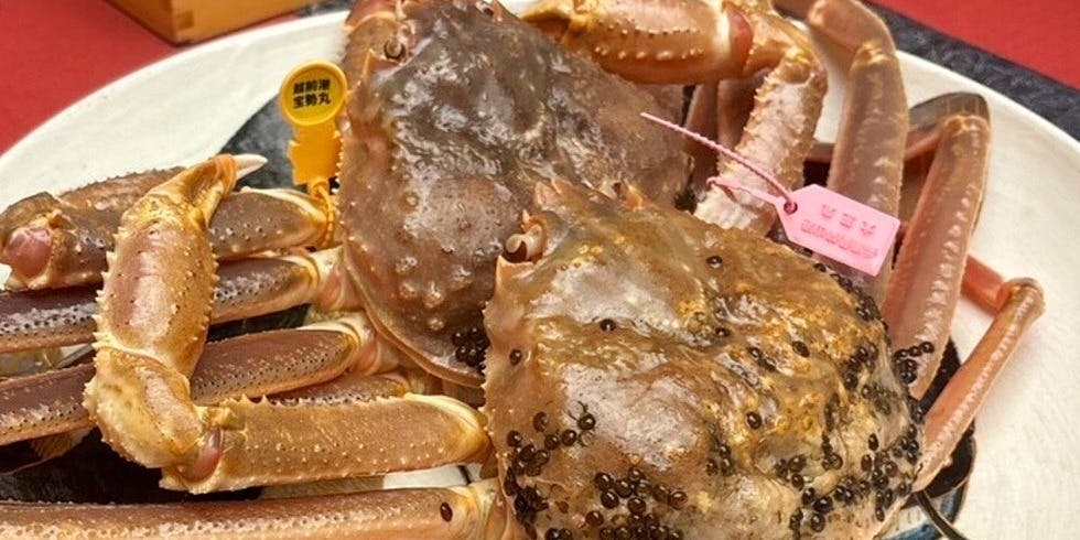 赤坂 にのまえ 1枚目