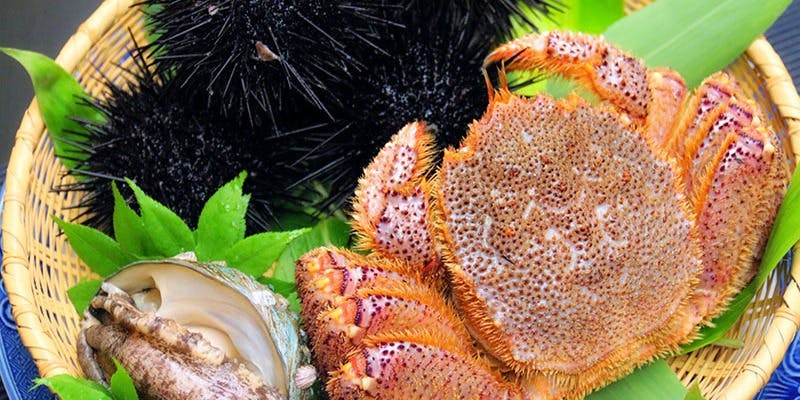 赤坂 にのまえ - 画像4