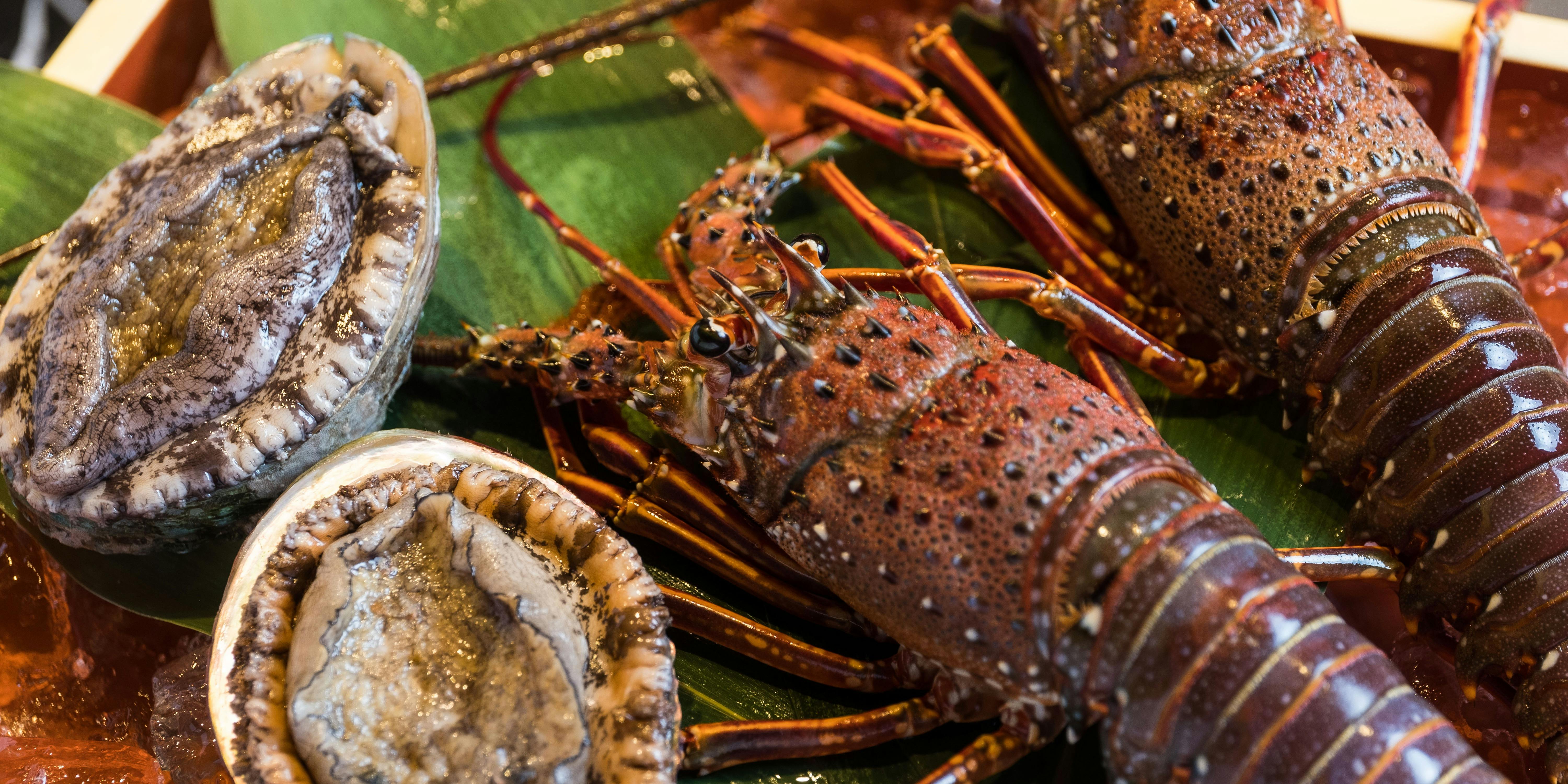 鉄板焼 THE VILLAGE OSAKA（ザ ヴィレッジ オオサカ）