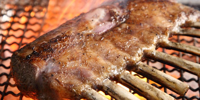 ウルトラチョップ プリュ - 画像6